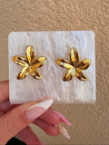 Boucles Lys